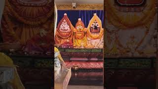 Tu debata mu Manish #jagganathtemple#jagannath #kali #ytshorts #love #viralvideos #brahma #godvishnu