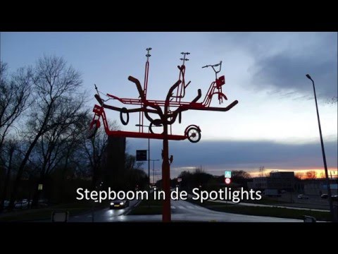 Steps 14   Joep 16   Stepboom in de spotlights   Hoogvliet 2016