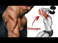 The 5 Most Effective Triceps Exercises