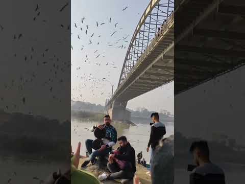 مدينتي الجميلة اهواز الحبيبة