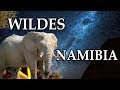 WILDES NAMIBIA - Von der Wüste über das Meer in die Savanne 4k | Tierfilm Doku