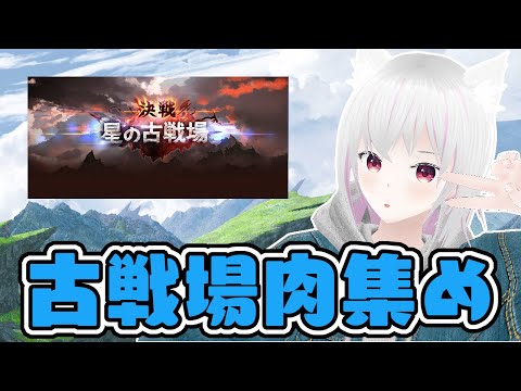 【グラブル】雑ブル【水有利古戦場肉集め】