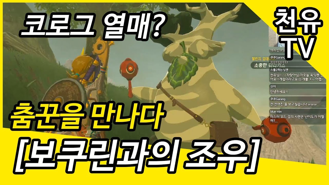 코로그 열매 사용방법 | 젤다의 전설 야생의 숨결 ( The Legend of Zelda : Breath of the Wild )