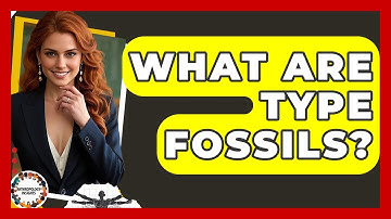 What Are Type Fossils? - Anthropology Insights