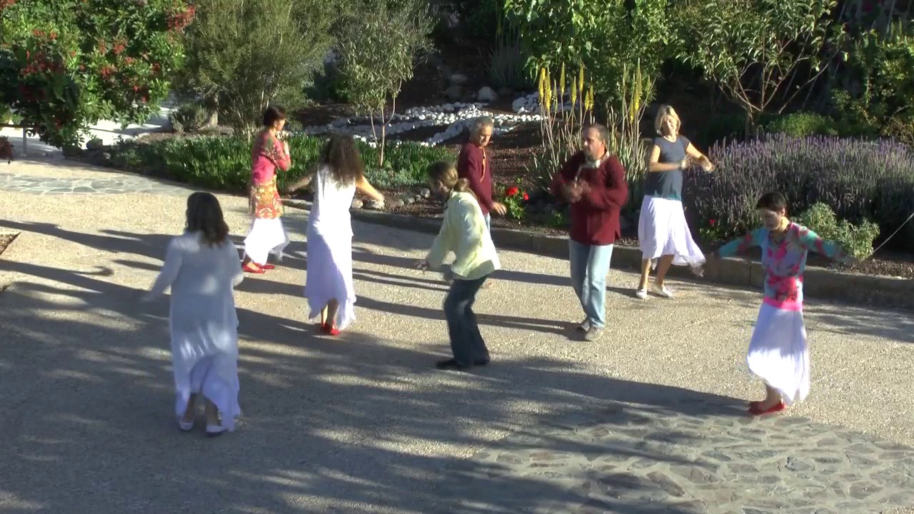 M 1.3.06 Tashi Yangnyen tibetan terrier