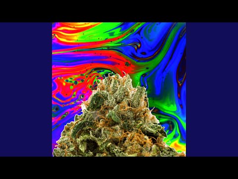 Guarda Bigbudd (feat. Weirdfinger) (Ambient Bud Mix) su YouTube