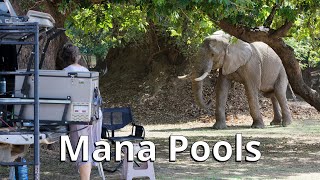 Iconic, but... Mana Pools, Zimbabwe [61 Days Overlanding Ep 5]