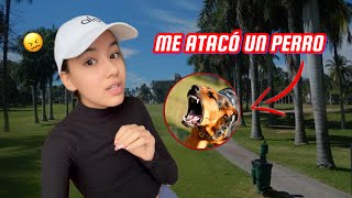 Thumbnail for HOY ME ATACÓ UN PERRO CUANDO ESTABA SOLA | Ana Emilia