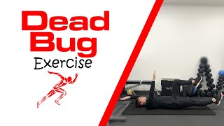 Dead Bug Exercise