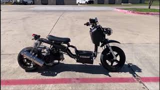 Icebear GEN I MADDOG 150cc Scooter PMZ150-19 @MEGAMOTORMADNESS.COM