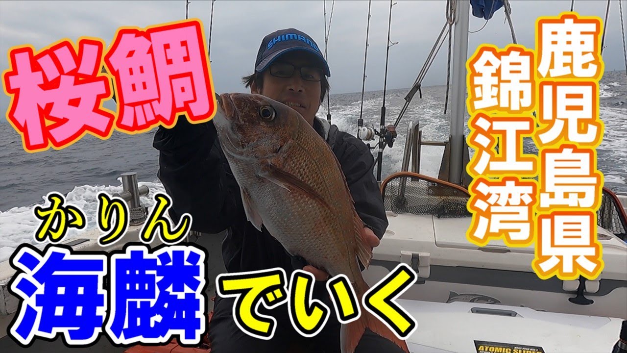 【春タイラバ】鹿児島県錦江湾奥で桜鯛を狙ってみた！