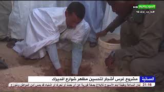 مشروع غرس أشجار لتحسين مظهر شوارع افديرك
