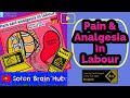 Pain and Analgesia in Labour