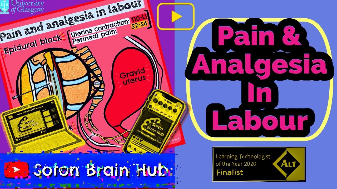 Pain and Analgesia in Labour