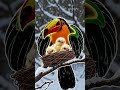 Magical Toucan Shelters Yellow Chicks in Winter Wonderland ❄️ | #FantasyNature #DigitalArt #BirdLove