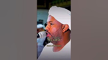 سورة المزمل الشيخ الزين محمد احمد #سورة #المزمل #الله #reels #القرآن #quran #viral #قران #الشيخ #