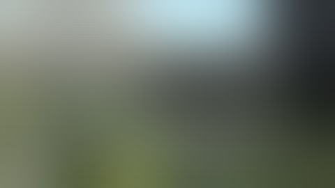 1996 | Laparoscopic Palliative Gastrojejunostomy and Roux-en-Y Choledochojejunostomy