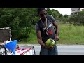 Chopping coconuts with a machete - Buying coconuts in Barbados