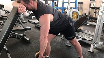 Unilateral Bent Over Row (Dumbbell, Pronated, Elbow Low)