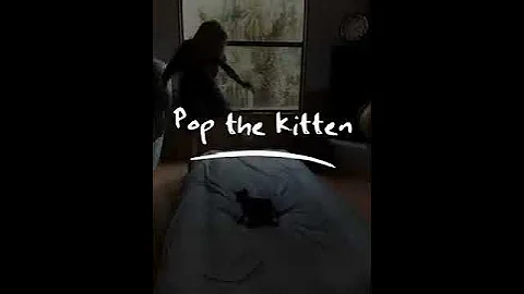 Pop the kitten