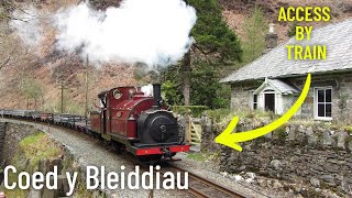 Coed y Bleiddiau - Remote Welsh Railway Cottage (Access by Train & Tour)