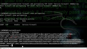 meterpreter_backdoor.mp4