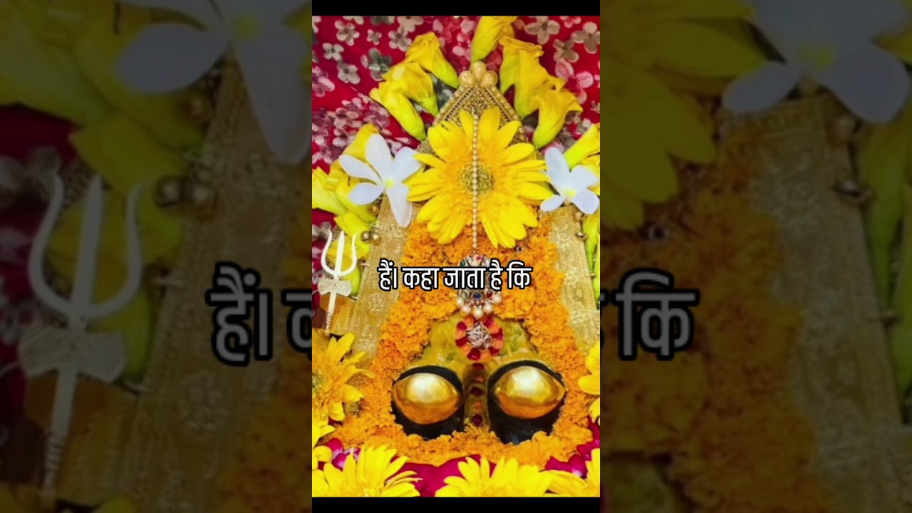 माँ जो दृष्टि भी देती हैं और चिंता भी हर लेती हैं |#Shorts #ViralShorts #Trending  #DailyBhakti