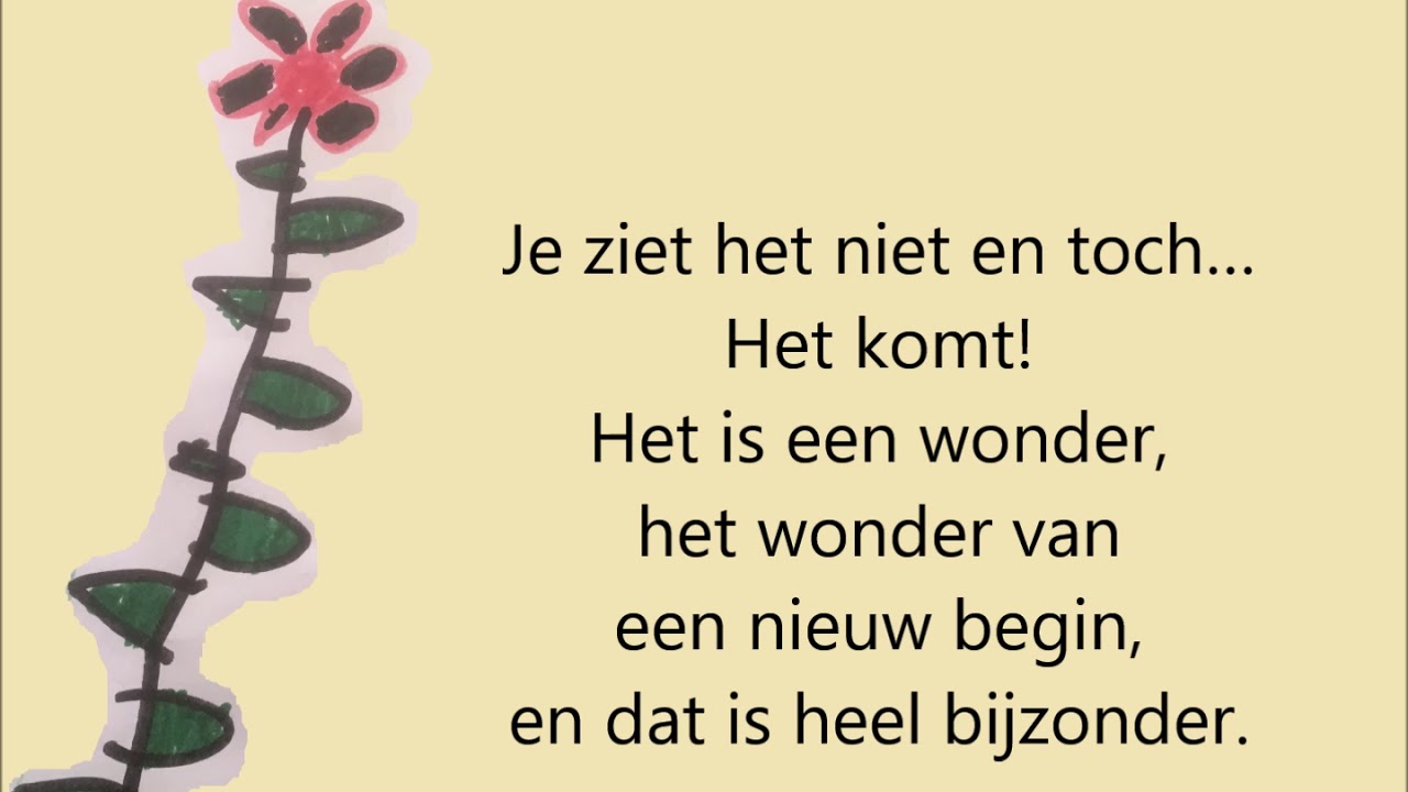 Het wonder van een nieuw begin YouTube