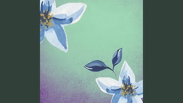 High Class Moods for Sound Visions