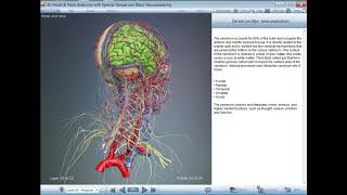 Test Software Anatomy Atlas Anatomy dan 3D Head And Neck screenshot 4
