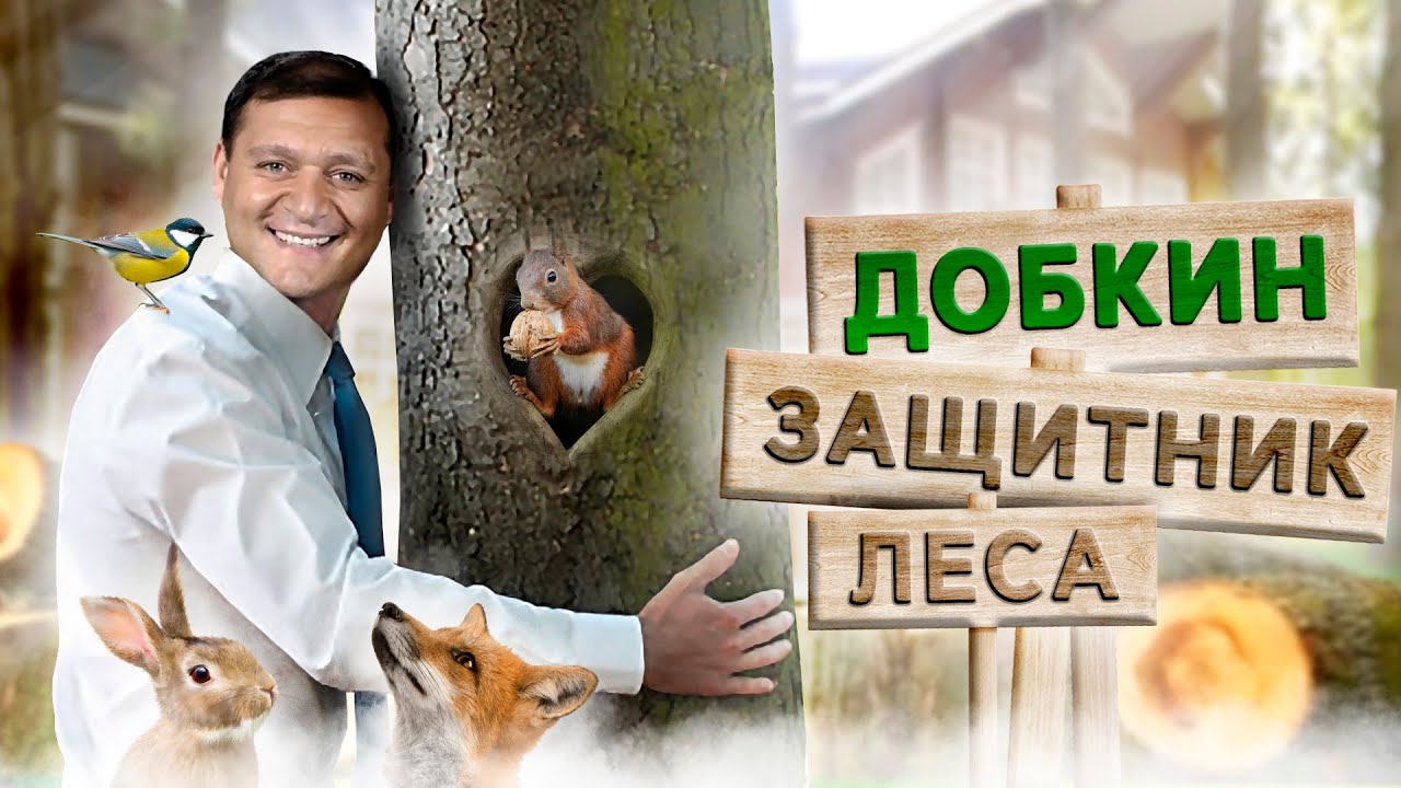 Добкин: сказки о защите леса, распил Лесопарка и украденное побережье