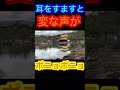 変な声が...