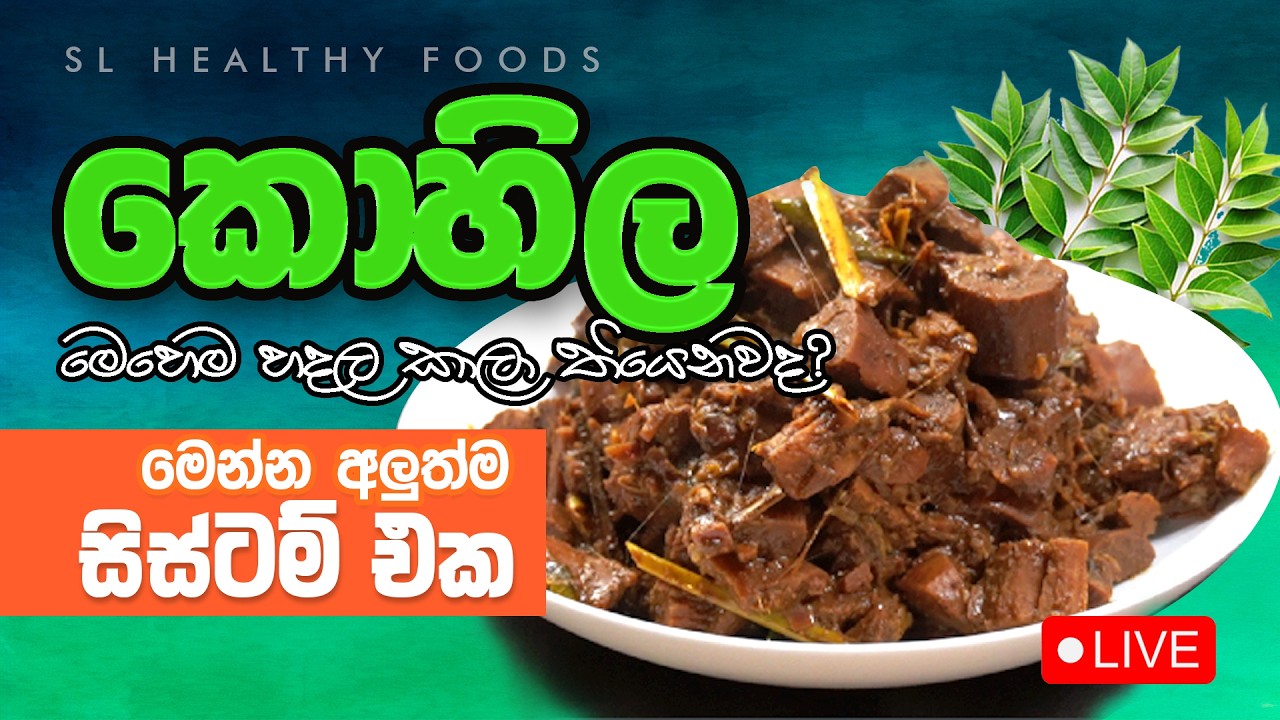 කොහිල මෙහෙම හදල කාල තියෙනවද මෙන්න අලුත්ම system එක