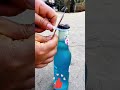 No bottle opener? No problem! Beer bottle opening hack! 🙌✨🍻
