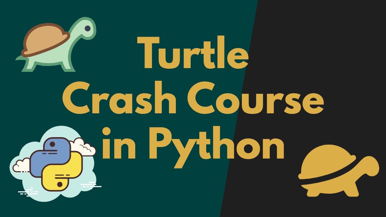 Master the Turtle Graphics in Python | Beginner's Guide - YouTube