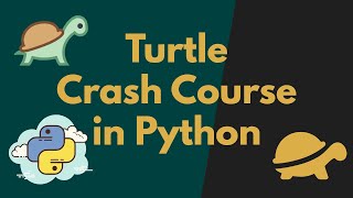 Master the Turtle Graphics in Python | Beginner's Guide