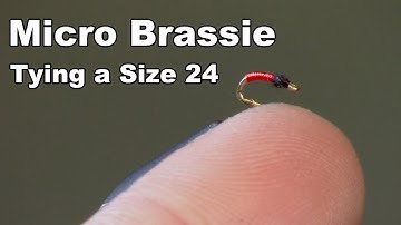Tying a Micro Brassie - Nymph Fly - McFly Angler Fly Tying Tutorials