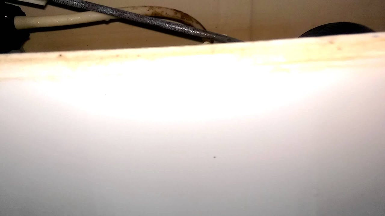 Eljer Savoy flushing car wash YouTube