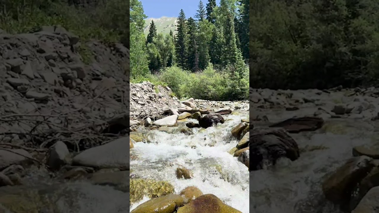 Relaxing Summer days in the Rocky Mountains of Colorado #rockymountains #relaxingmusic #timjanis