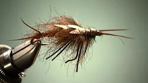Stonefly Nymph fly tying video by Shane Stalcup