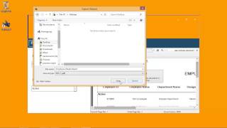 How to View Employee Details Report in Paywings