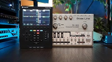 The Happy Accident Setup // Polyend Tracker Mini / TB 303