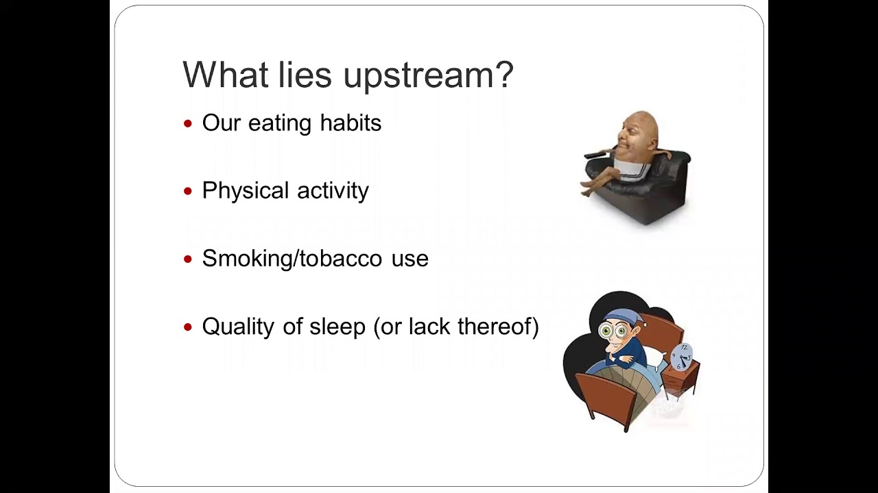 The Nutrition at Noon: Upstream Health