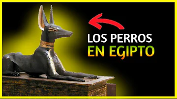 ¿Quién es el perro de Egipto?