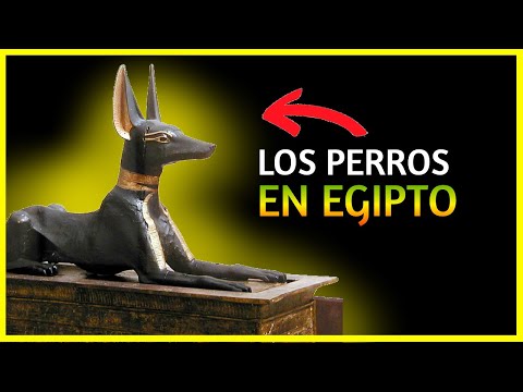 Video: Nombres de perros egipcios antiguos