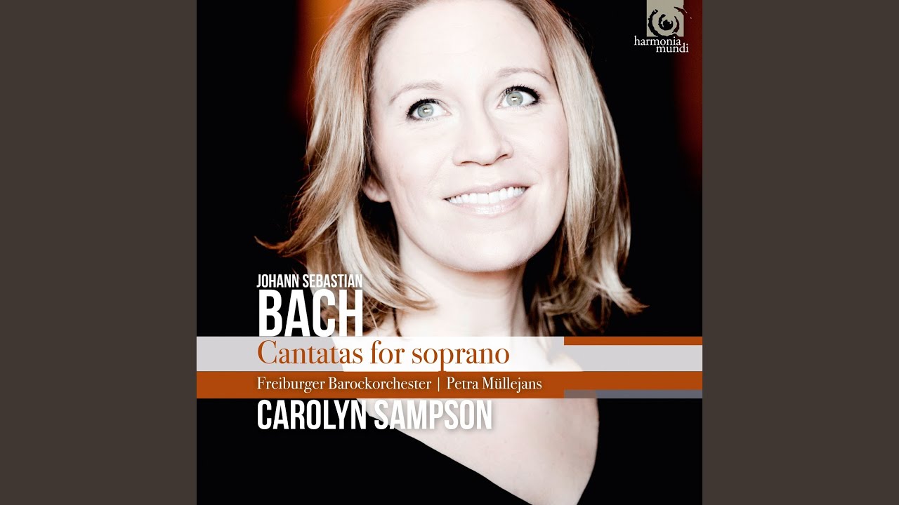 Mein Herze schwimmt im Blut, BWV 199: IV. Aria "Tief gebückt und voller Reue"