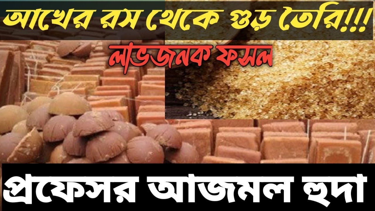 কীভাবে তৈরি হয় খাঁটি আখের গুড়? || প্রফেসর আজমল হুদা  