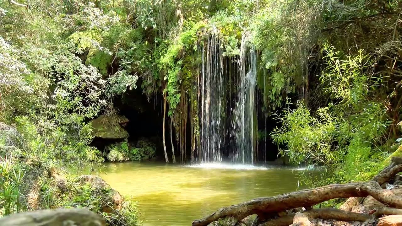 Blyde Canyon, A Forever Resort, Promo