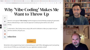 Vibe Programming 🤮