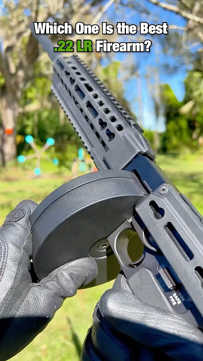 Which One Is the Best .22 LR Firearm?